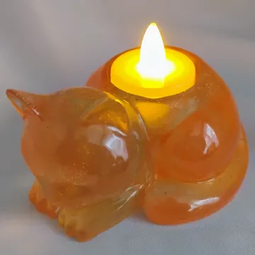 IMG_20260124_110908134_AE